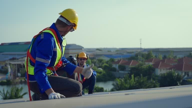 Best Roof Moss and Algae Removal  in Coopersville, MI