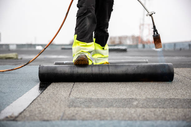 Best Roof Insulation Installation  in Coopersville, MI