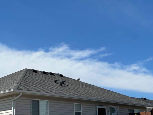 Best Gutter Installation and Repair  in Coopersville, MI